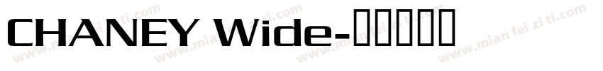 CHANEY Wide字体转换
